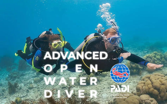 Advanced Open Water Diver